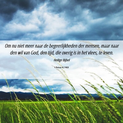 Picture 06 - 1 Petrus 4:2 NLD - Om nu niet meer naar de begeerlijkheden der - Bible Verse Picture