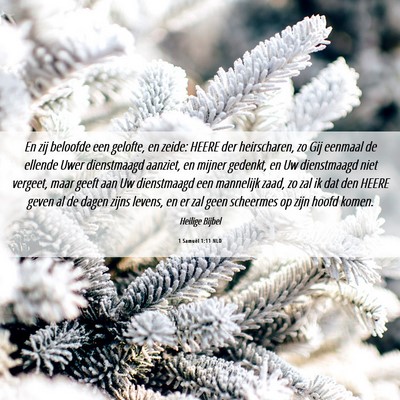 Picture 06 - 1 Samuël 1:11 NLD - En zij beloofde een gelofte, en zeide: HEERE der - Bible Verse Picture