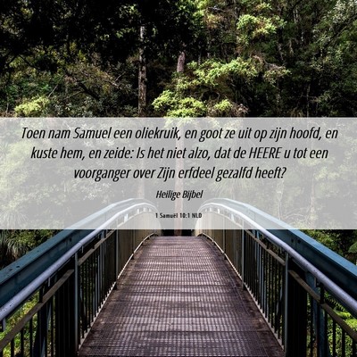 Picture 06 - 1 Samuël 10:1 NLD - Toen nam Samuel een oliekruik, en goot ze uit op - Bible Verse Picture