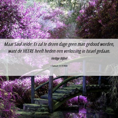 Picture 06 - 1 Samuël 11:13 NLD - Maar Saul zeide: Er zal te dezen dage geen man - Bible Verse Picture