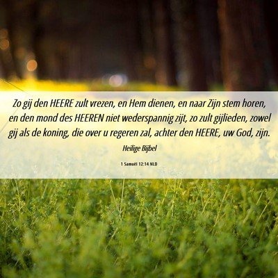 Picture 06 - 1 Samuël 12:14 NLD - Zo gij den HEERE zult vrezen, en Hem dienen, en - Bible Verse Picture