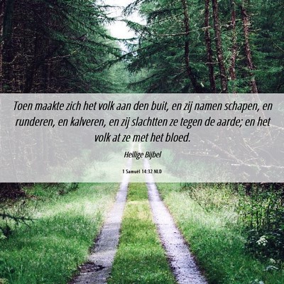 Picture 06 - 1 Samuël 14:32 NLD - Toen maakte zich het volk aan den buit, en zij - Bible Verse Picture