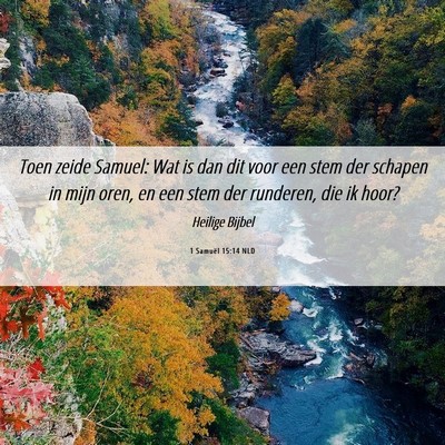 Picture 06 - 1 Samuël 15:14 NLD - Toen zeide Samuel: Wat is dan dit voor een stem - Bible Verse Picture