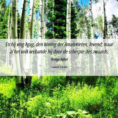 Picture 06 - 1 Samuël 15:8 NLD - En hij ving Agag, den koning der Amalekieten, - Bible Verse Picture