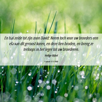 Picture 06 - 1 Samuël 17:17 NLD - En Isai zeide tot zijn zoon David: Neem toch voor - Bible Verse Picture
