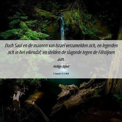 Picture 06 - 1 Samuël 17:2 NLD - Doch Saul en de mannen van Israel verzamelden - Bible Verse Picture