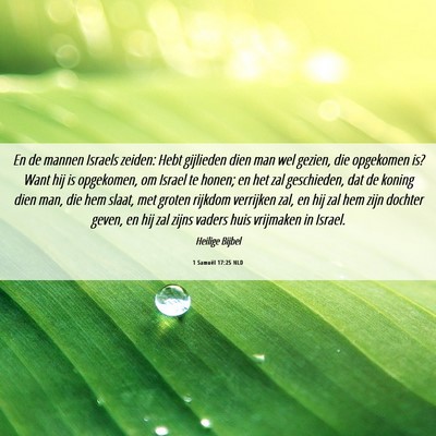 Picture 06 - 1 Samuël 17:25 NLD - En de mannen Israels zeiden: Hebt gijlieden dien - Bible Verse Picture