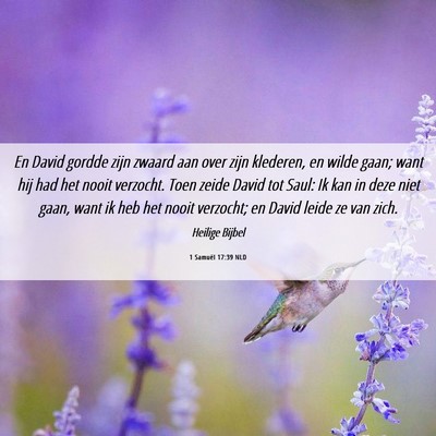 Picture 06 - 1 Samuël 17:39 NLD - En David gordde zijn zwaard aan over zijn - Bible Verse Picture