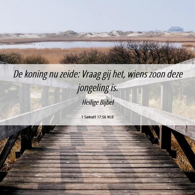 Picture 06 - 1 Samuël 17:56 NLD - De koning nu zeide: Vraag gij het, wiens zoon - Bible Verse Picture