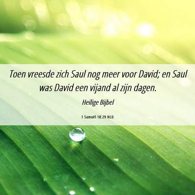 Picture 06 - 1 Samuël 18:29 NLD - Toen vreesde zich Saul nog meer voor David; en - Bible Verse Picture
