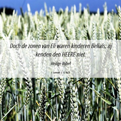 Picture 06 - 1 Samuël 2:12 NLD - Doch de zonen van Eli waren kinderen Belials; zij - Bible Verse Picture