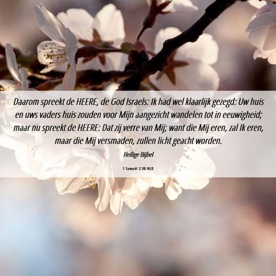 Picture 06 - 1 Samuël 2:30 NLD - Daarom spreekt de HEERE, de God Israels: Ik had - Bible Verse Picture