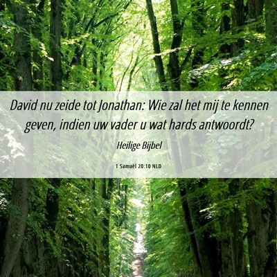 Picture 06 - 1 Samuël 20:10 NLD - David nu zeide tot Jonathan: Wie zal het mij te - Bible Verse Picture