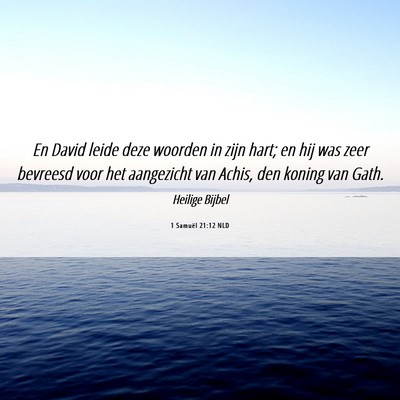 Picture 06 - 1 Samuël 21:12 NLD - En David leide deze woorden in zijn hart; en hij - Bible Verse Picture