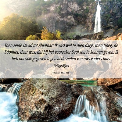 Picture 06 - 1 Samuël 22:22 NLD - Toen zeide David tot Abjathar: Ik wist wel te - Bible Verse Picture