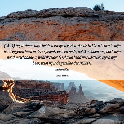 Picture 06 - 1 Samuël 24:10 NLD - (24:11) Zie, te dezen dage hebben uw ogen gezien, - Bible Verse Picture