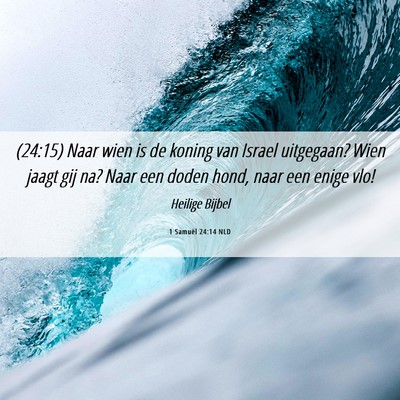 Picture 06 - 1 Samuël 24:14 NLD - (24:15) Naar wien is de koning van Israel - Bible Verse Picture