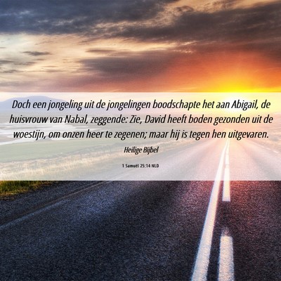 Picture 06 - 1 Samuël 25:14 NLD - Doch een jongeling uit de jongelingen boodschapte - Bible Verse Picture