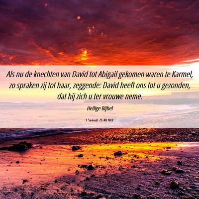 Picture 06 - 1 Samuël 25:40 NLD - Als nu de knechten van David tot Abigail gekomen - Bible Verse Picture