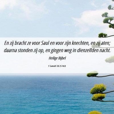 Picture 06 - 1 Samuël 28:25 NLD - En zij bracht ze voor Saul en voor zijn knechten, - Bible Verse Picture