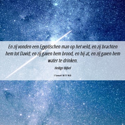 Picture 06 - 1 Samuël 30:11 NLD - En zij vonden een Egyptischen man op het veld, en - Bible Verse Picture