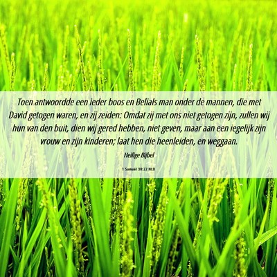 Picture 06 - 1 Samuël 30:22 NLD - Toen antwoordde een ieder boos en Belials man - Bible Verse Picture