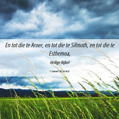 Picture 06 - 1 Samuël 30:28 NLD - En tot die te Aroer, en tot die te Sifmoth, en - Bible Verse Picture
