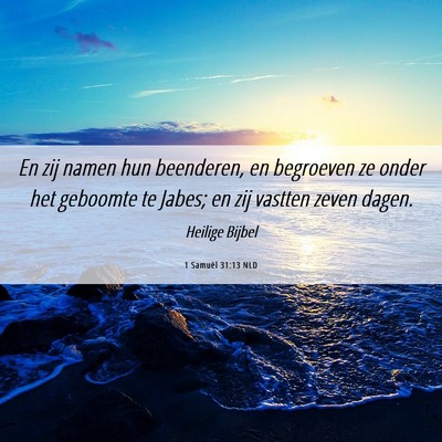 Picture 06 - 1 Samuël 31:13 NLD - En zij namen hun beenderen, en begroeven ze onder - Bible Verse Picture