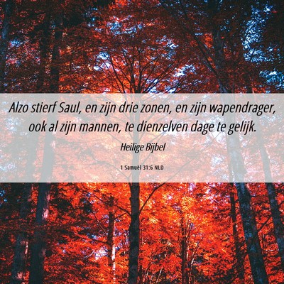 Picture 06 - 1 Samuël 31:6 NLD - Alzo stierf Saul, en zijn drie zonen, en zijn - Bible Verse Picture