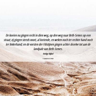 Picture 06 - 1 Samuël 6:12 NLD - De koeien nu gingen recht in dien weg, op den weg - Bible Verse Picture