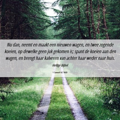 Picture 06 - 1 Samuël 6:7 NLD - Nu dan, neemt en maakt een nieuwen wagen, en twee - Bible Verse Picture