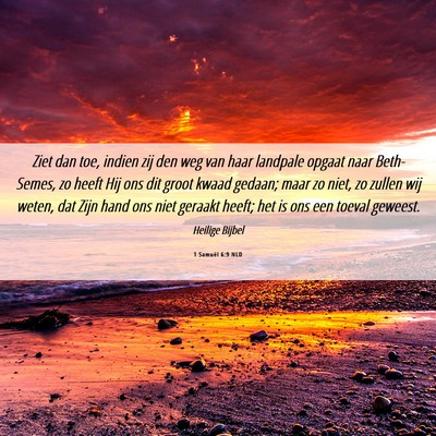Picture 06 - 1 Samuël 6:9 NLD - Ziet dan toe, indien zij den weg van haar - Bible Verse Picture