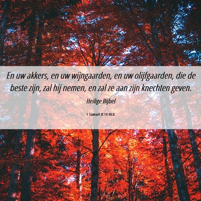 Picture 06 - 1 Samuël 8:14 NLD - En uw akkers, en uw wijngaarden, en uw - Bible Verse Picture