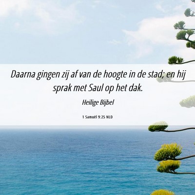 Picture 06 - 1 Samuël 9:25 NLD - Daarna gingen zij af van de hoogte in de stad; en - Bible Verse Picture