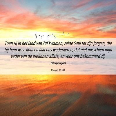 Picture 06 - 1 Samuël 9:5 NLD - Toen zij in het land van Zuf kwamen, zeide Saul - Bible Verse Picture