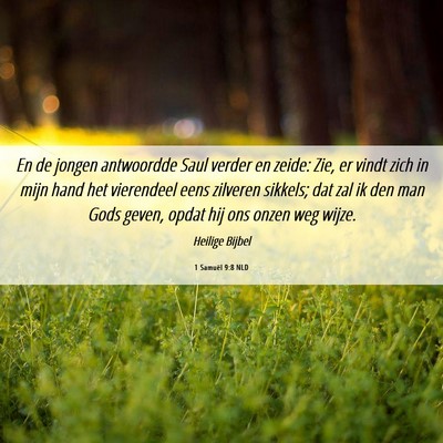 Picture 06 - 1 Samuël 9:8 NLD - En de jongen antwoordde Saul verder en zeide: - Bible Verse Picture
