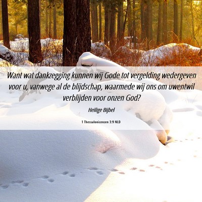 Picture 06 - 1 Thessalonicenzen 3:9 NLD - Want wat dankzegging kunnen wij Gode tot - Bible Verse Picture