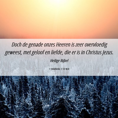 Picture 06 - 1 Timotheüs 1:14 NLD - Doch de genade onzes Heeren is zeer overvloedig - Bible Verse Picture