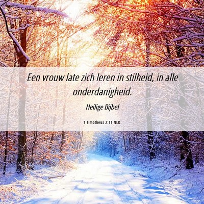 Picture 06 - 1 Timotheüs 2:11 NLD - Een vrouw late zich leren in stilheid, in alle - Bible Verse Picture