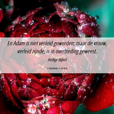 Picture 06 - 1 Timotheüs 2:14 NLD - En Adam is niet verleid geworden; maar de vrouw, - Bible Verse Picture