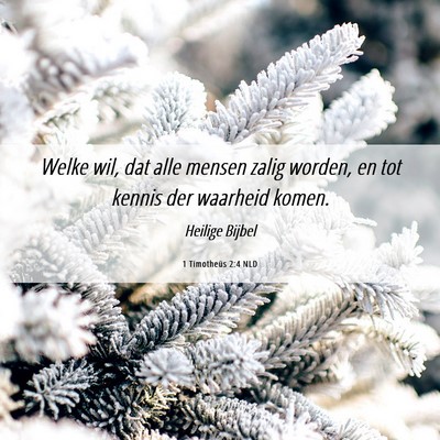 Picture 06 - 1 Timotheüs 2:4 NLD - Welke wil, dat alle mensen zalig worden, en tot - Bible Verse Picture