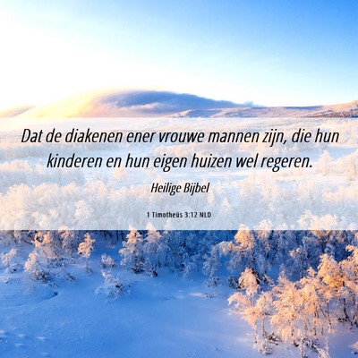 Picture 06 - 1 Timotheüs 3:12 NLD - Dat de diakenen ener vrouwe mannen zijn, die hun - Bible Verse Picture