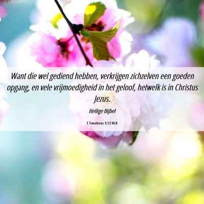 Picture 06 - 1 Timotheüs 3:13 NLD - Want die wel gediend hebben, verkrijgen - Bible Verse Picture