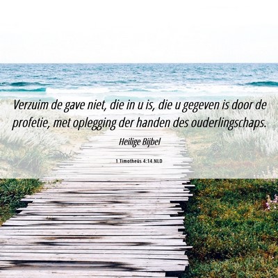 Picture 06 - 1 Timotheüs 4:14 NLD - Verzuim de gave niet, die in u is, die u gegeven - Bible Verse Picture