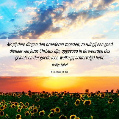 Picture 06 - 1 Timotheüs 4:6 NLD - Als gij deze dingen den broederen voorstelt, zo - Bible Verse Picture