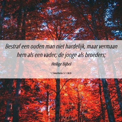 Picture 06 - 1 Timotheüs 5:1 NLD - Bestraf een ouden man niet hardelijk, maar - Bible Verse Picture