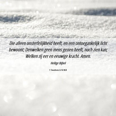 Picture 06 - 1 Timotheüs 6:16 NLD - Die alleen onsterfelijkheid heeft, en een - Bible Verse Picture