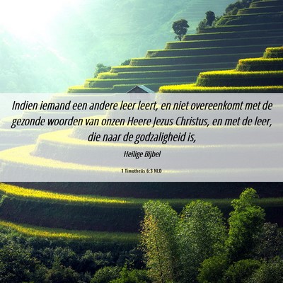 Picture 06 - 1 Timotheüs 6:3 NLD - Indien iemand een andere leer leert, en niet - Bible Verse Picture