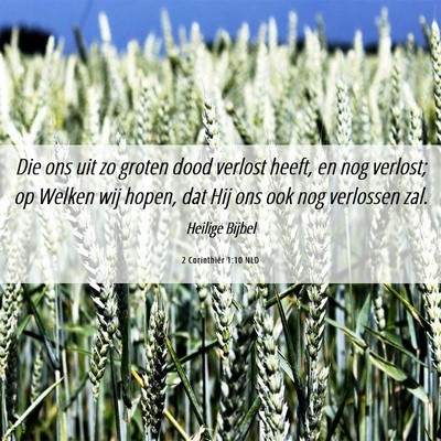 Picture 06 - 2 Corinthiër 1:10 NLD - Die ons uit zo groten dood verlost heeft, en nog - Bible Verse Picture