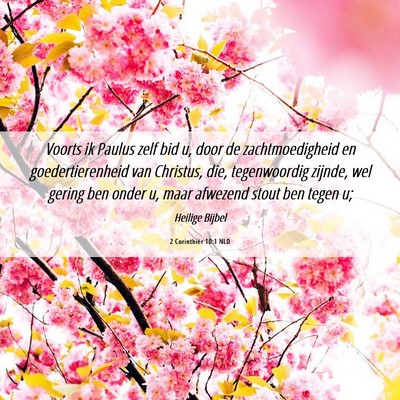 Picture 06 - 2 Corinthiër 10:1 NLD - Voorts ik Paulus zelf bid u, door de - Bible Verse Picture